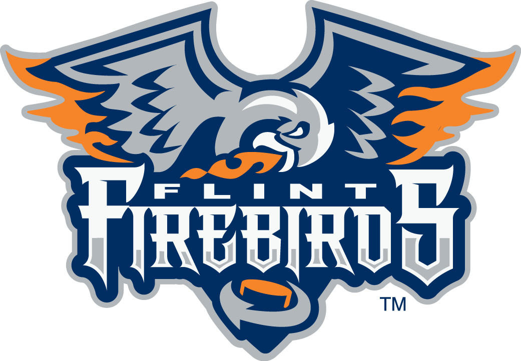 Flint Firebirds 2015 16-Pres Primary Logo iron on paper